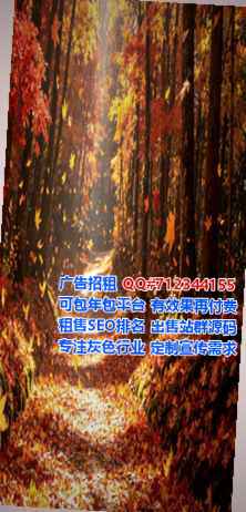 青海生子出版工作室